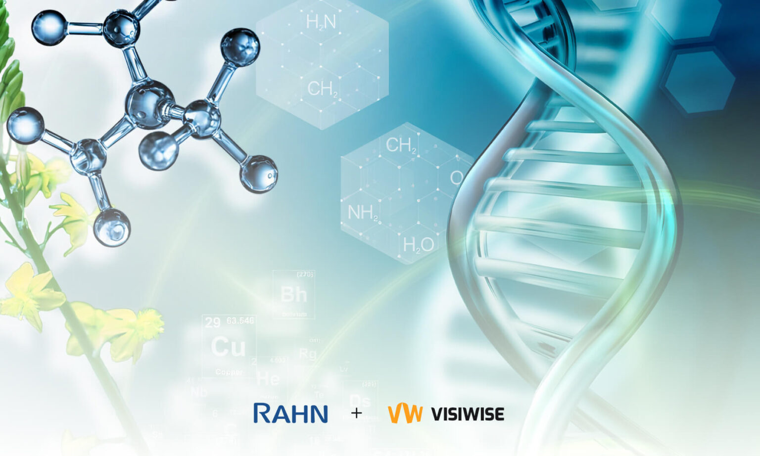 How Visiwise Transformed RAHN Group S Logistics Operations And Overcame